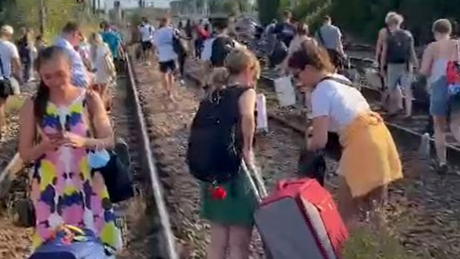 As the train to Stansted Airport crashes in heatwave, Brits are forced to carry their luggage along TRACK