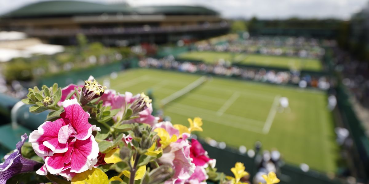 Bug hotel and electric vehicles among green developments at Wimbledon 2022