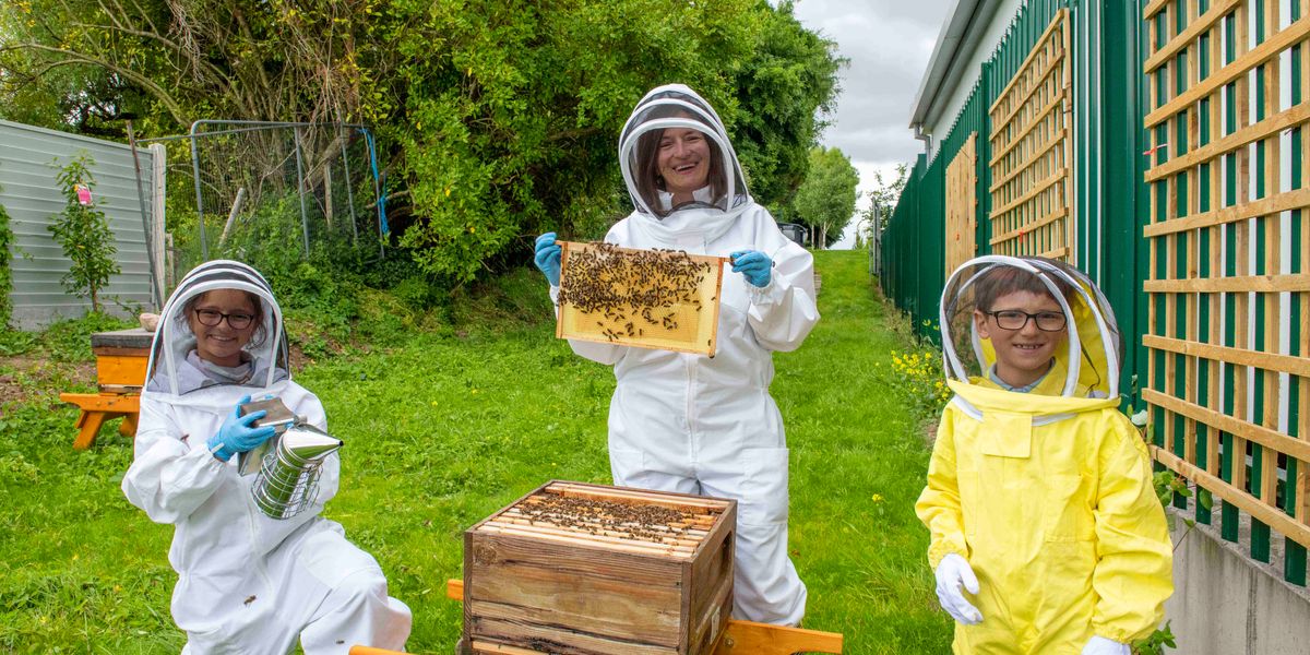 Hospital installs hives to ease children’s bee and wasp sting fears