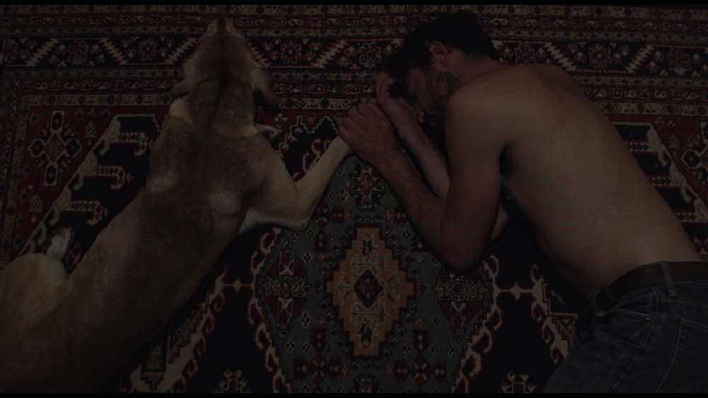 Trailer Debuts for “Love Dog” ahead of Locarno Premiere. Lights On