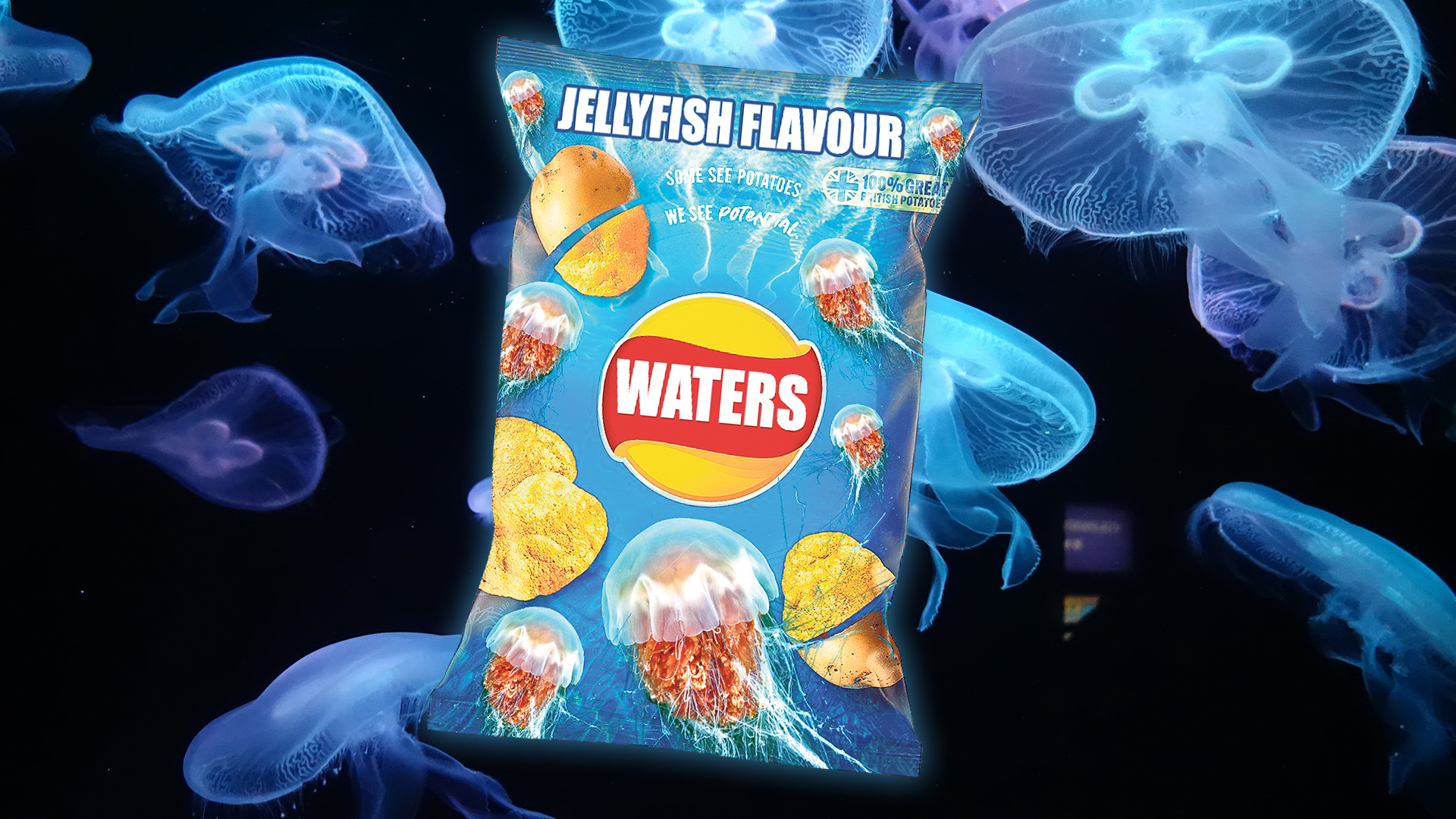 Scientists develop JELLYFISH ‘crisps’UK is infested by slimy creatures