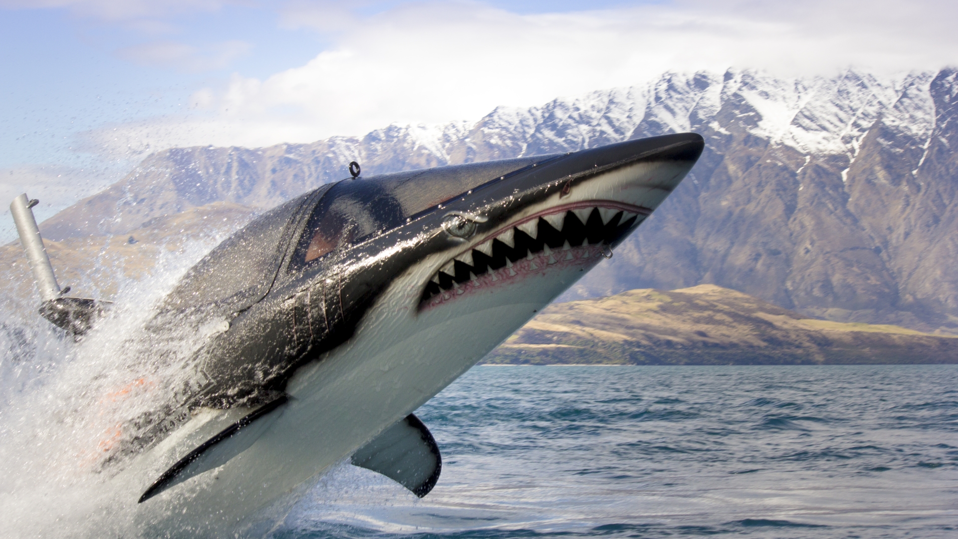 A jet boat shark can travel at 60mph, dive under water for 15 second and jump 18ft into the air.