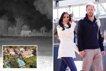 Harry and Meghan warned a mountain LION is on loose near their $14M mansion