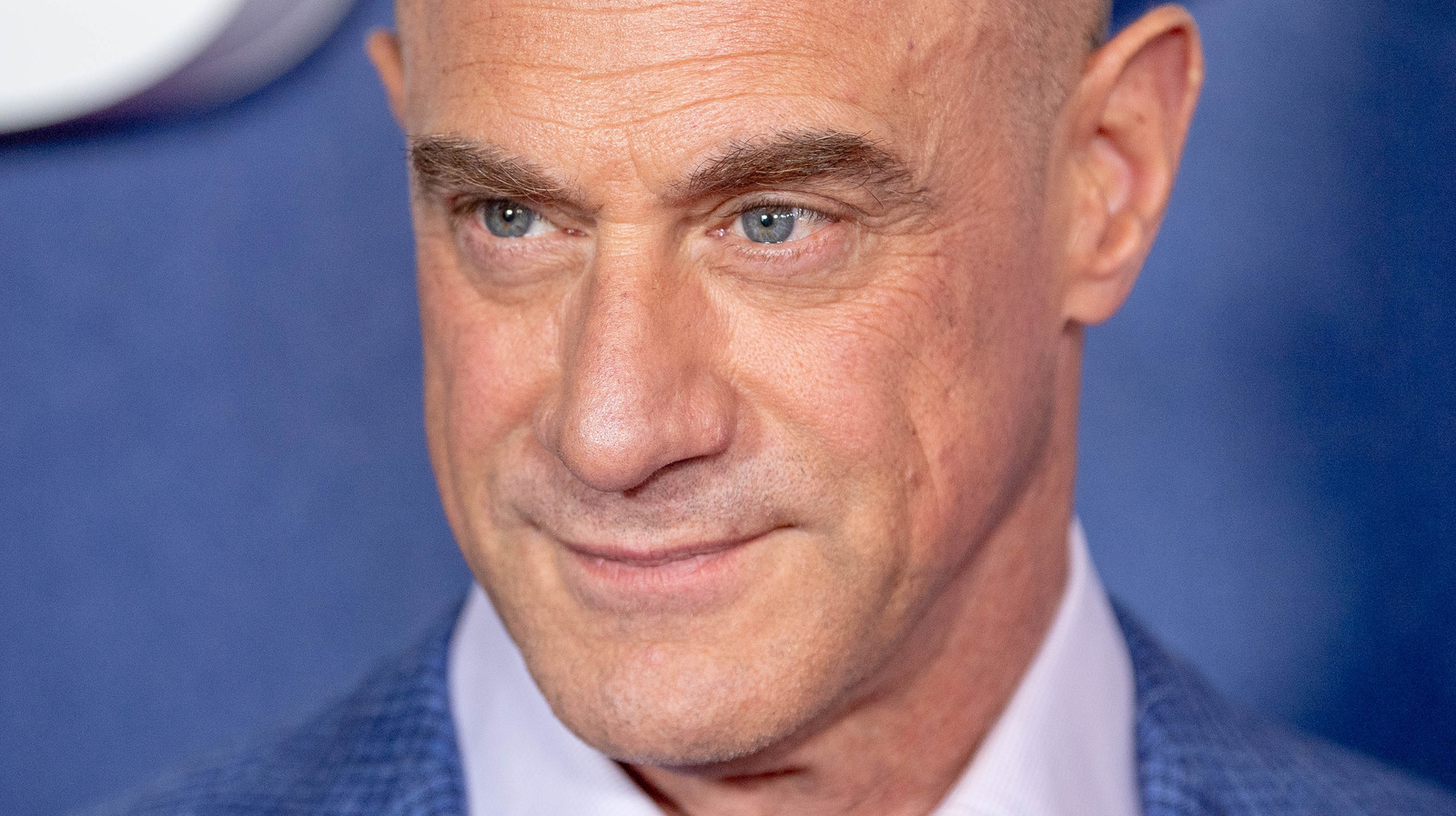 Christopher Meloni Did More Voice Acting Work than You Likely Believe