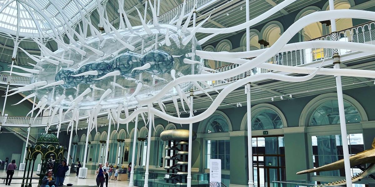 A huge sculpture of bacterium is on display at the National Museum of Scotland