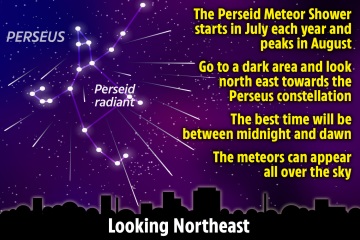 How to see Perseid Meteor Shower as celestial light show peaks TONIGHT
