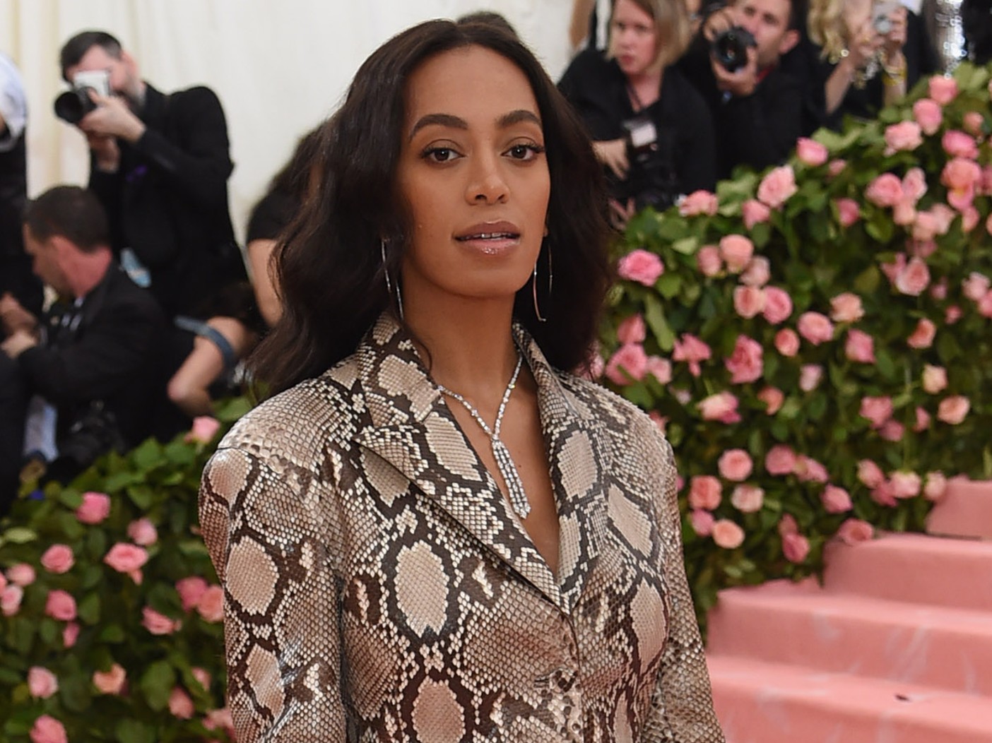Solange Knowles Creates History with Exciting Career News