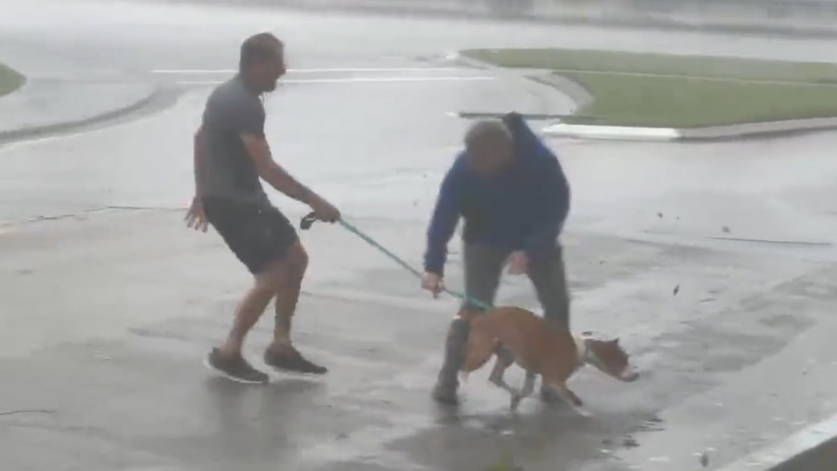 NewsNation Reporter Helps Florida Man Rescue Dog, Cat