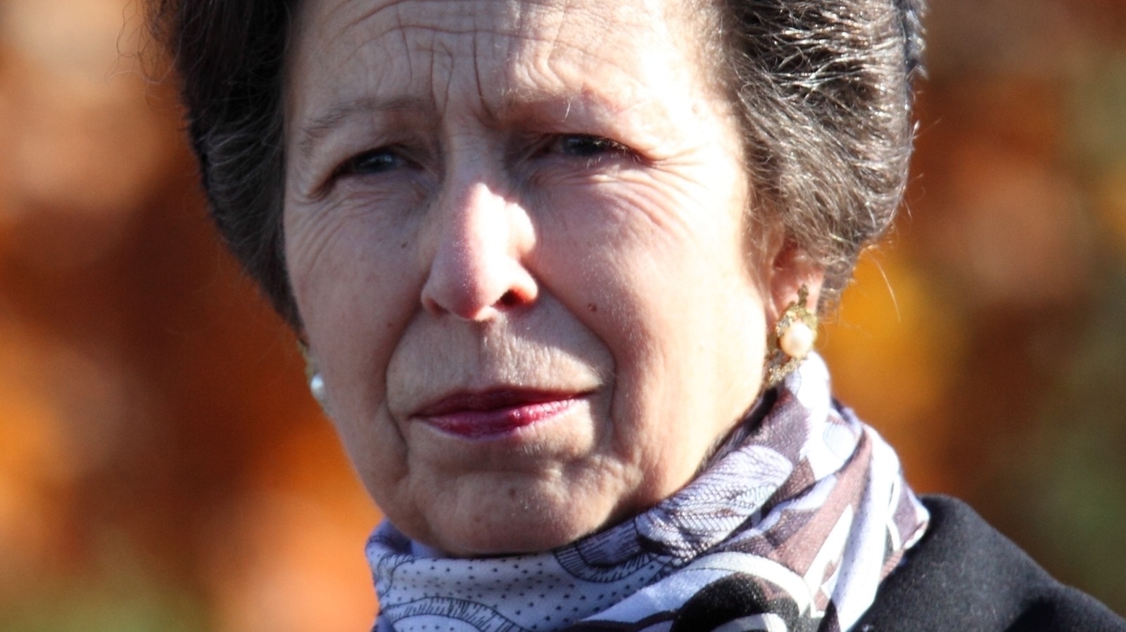 What Does Princess Anne Think About Camilla as Queen Consort?