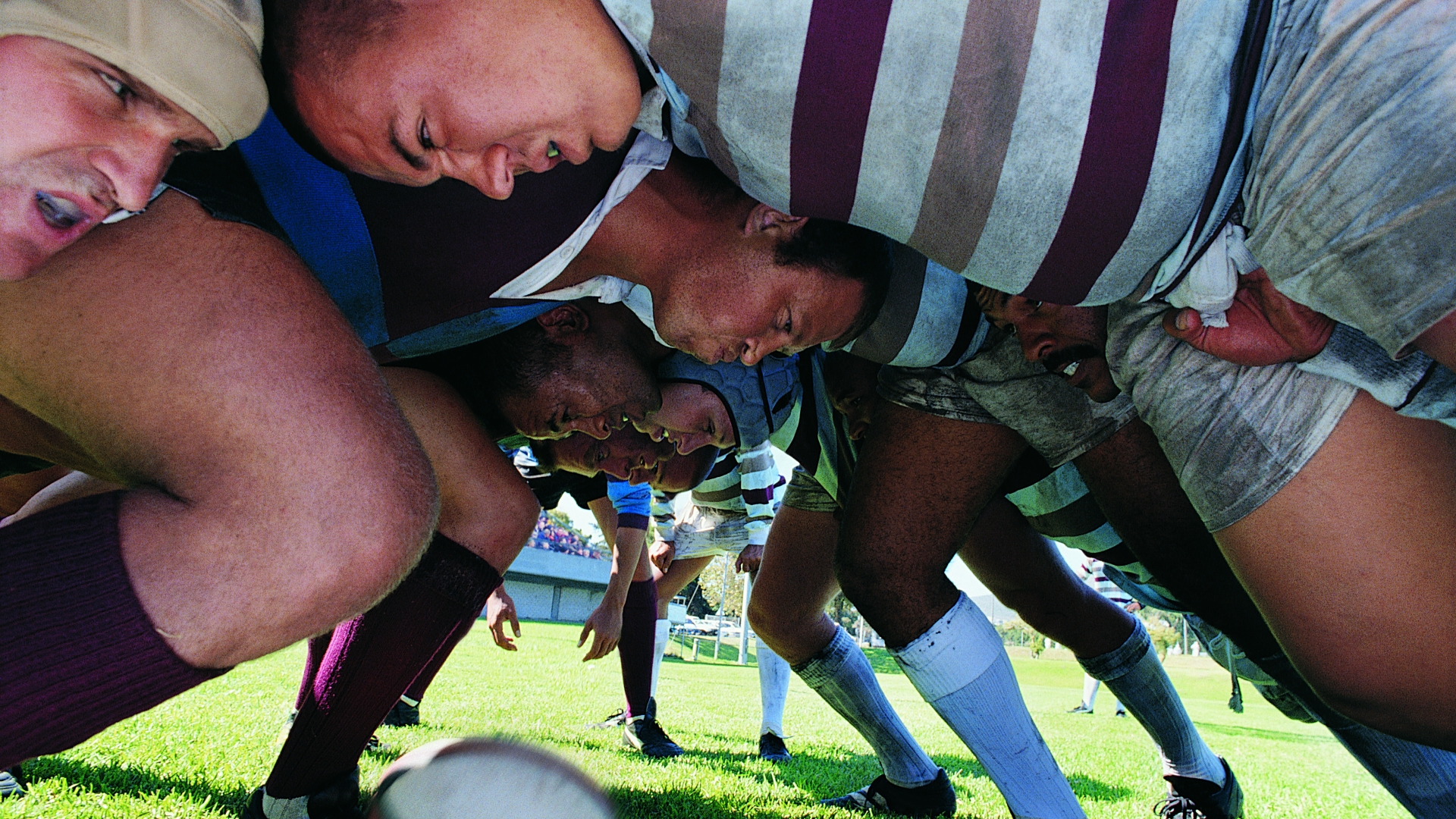 Researchers say rugby players are twice as likely to develop dementia from blows to the head.