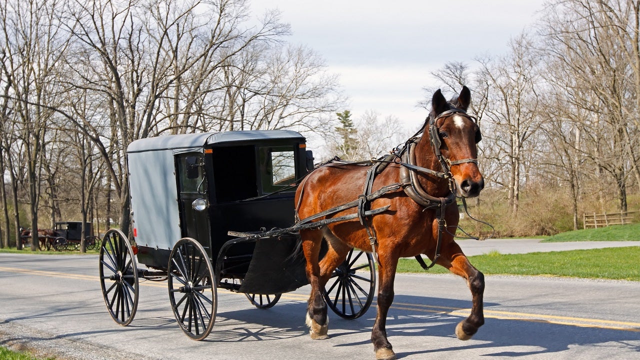 Amish boy critically injured after his horse and buggy hit the truck: Cops