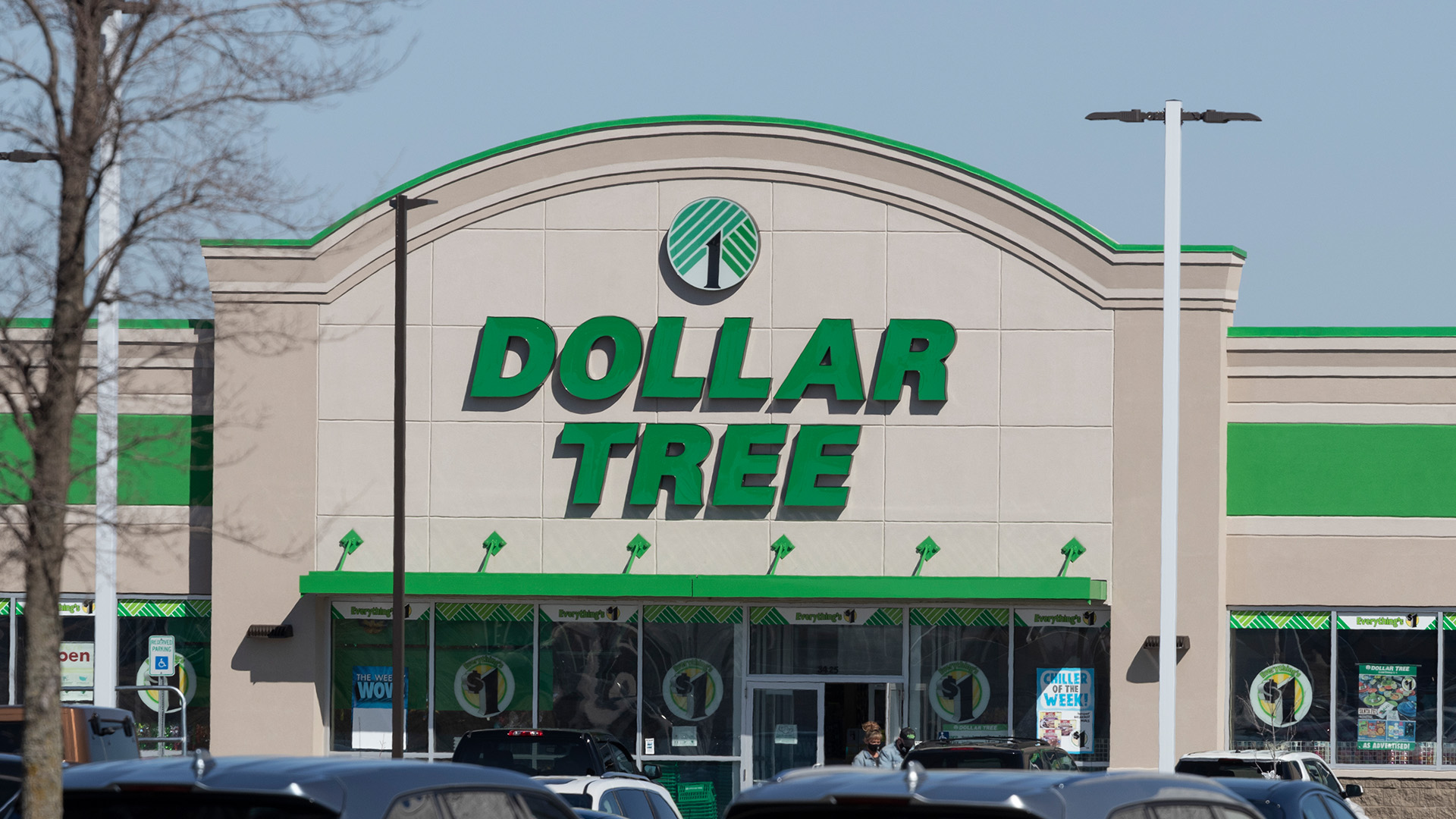 I am a Dollar Tree fan – my tips will make you apartment look luxurious and expensive without breaking your bank account
