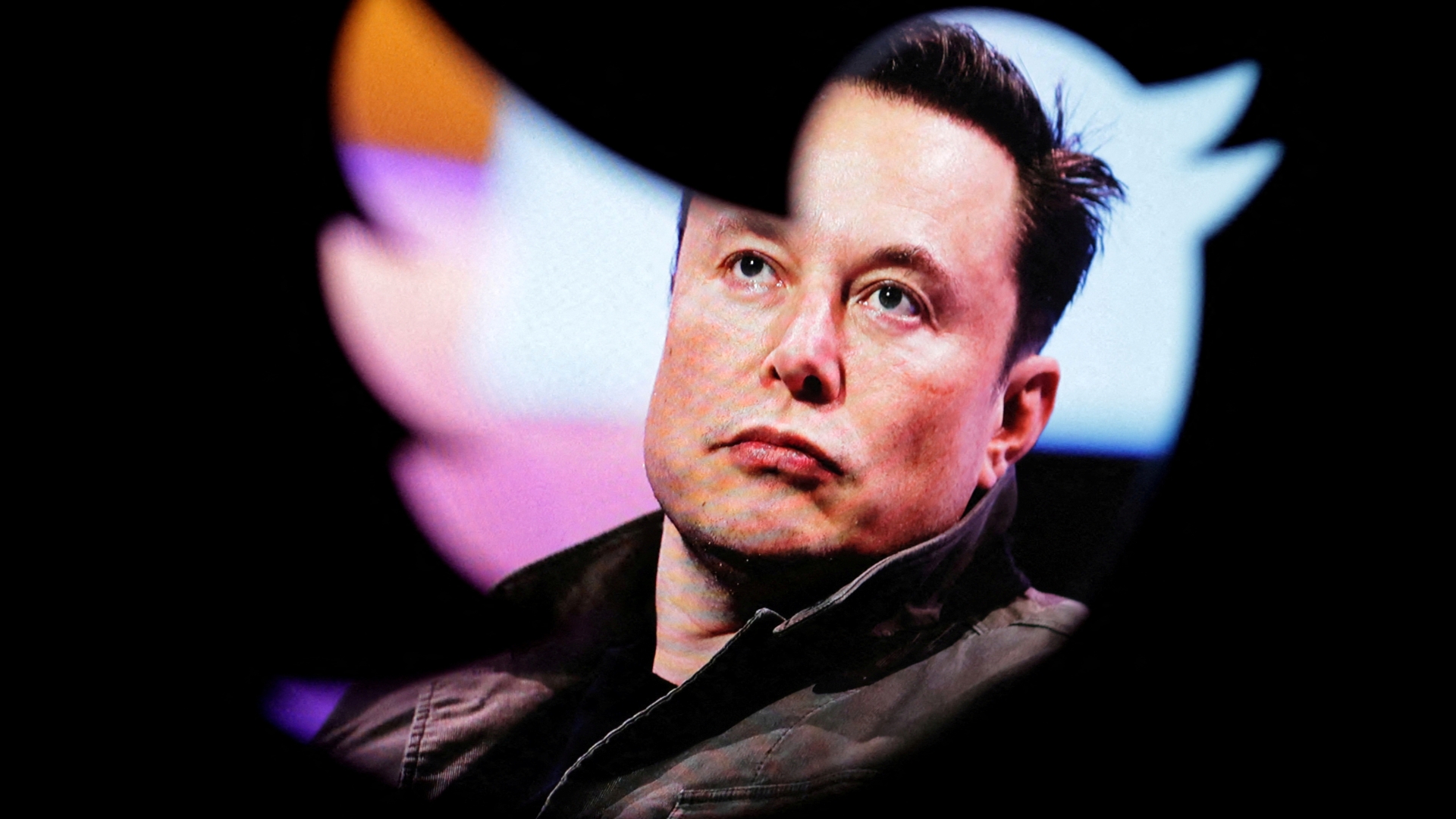 Inside Elon Musk’s plan for CHARGE Twitter users, as experts warn about a ‘black eye moment” for billionaires