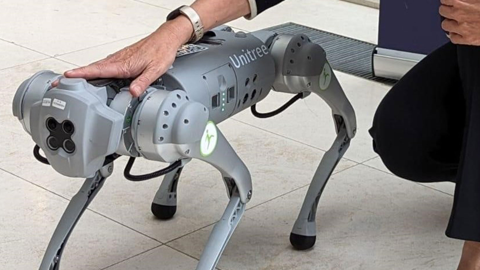 Robot dogs may soon replace prison officers when they hunt for drugs and phones behind bars
