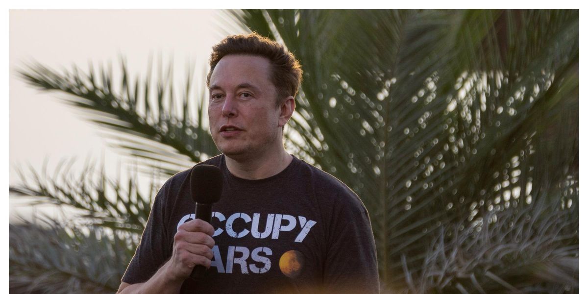 Elon Musk claims he has lost 30lbs, but his burps now taste ‘next-level’