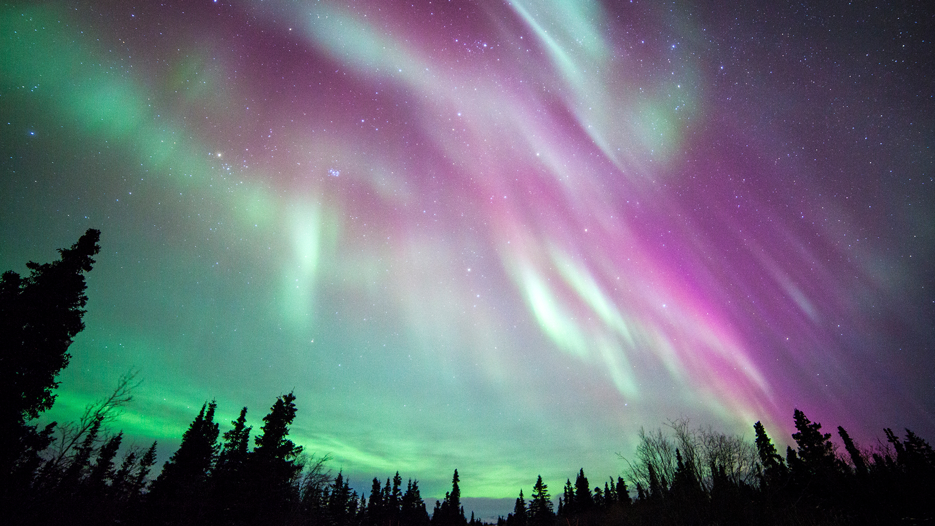 Bright pink light displays are produced by solar storm when it’smashes’ Earth’s magnetic field.