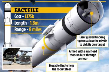 UK sends £175k Brimstone 2 missiles to Ukraine that can hunt down Russians
