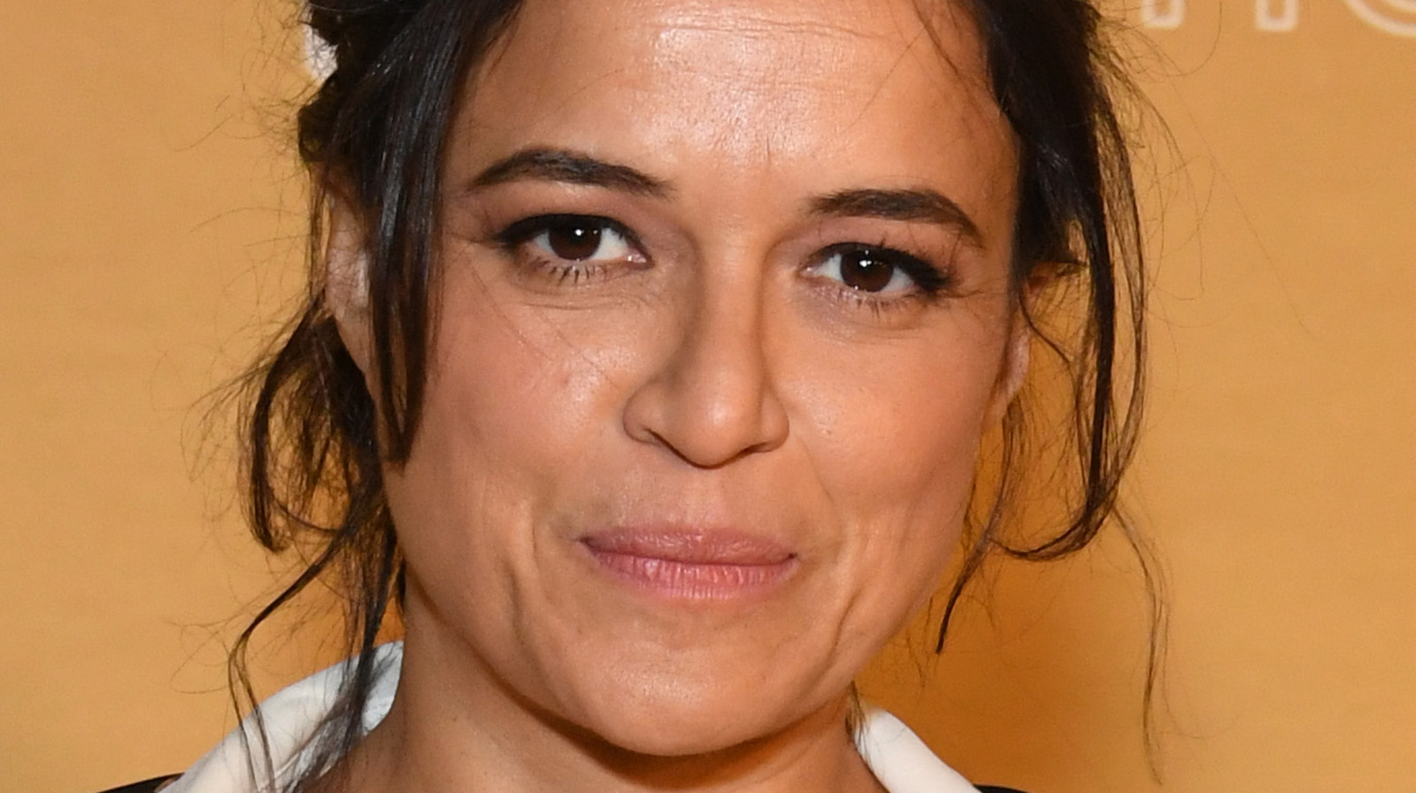 Michelle Rodriguez Was Jailed for the Right Reason