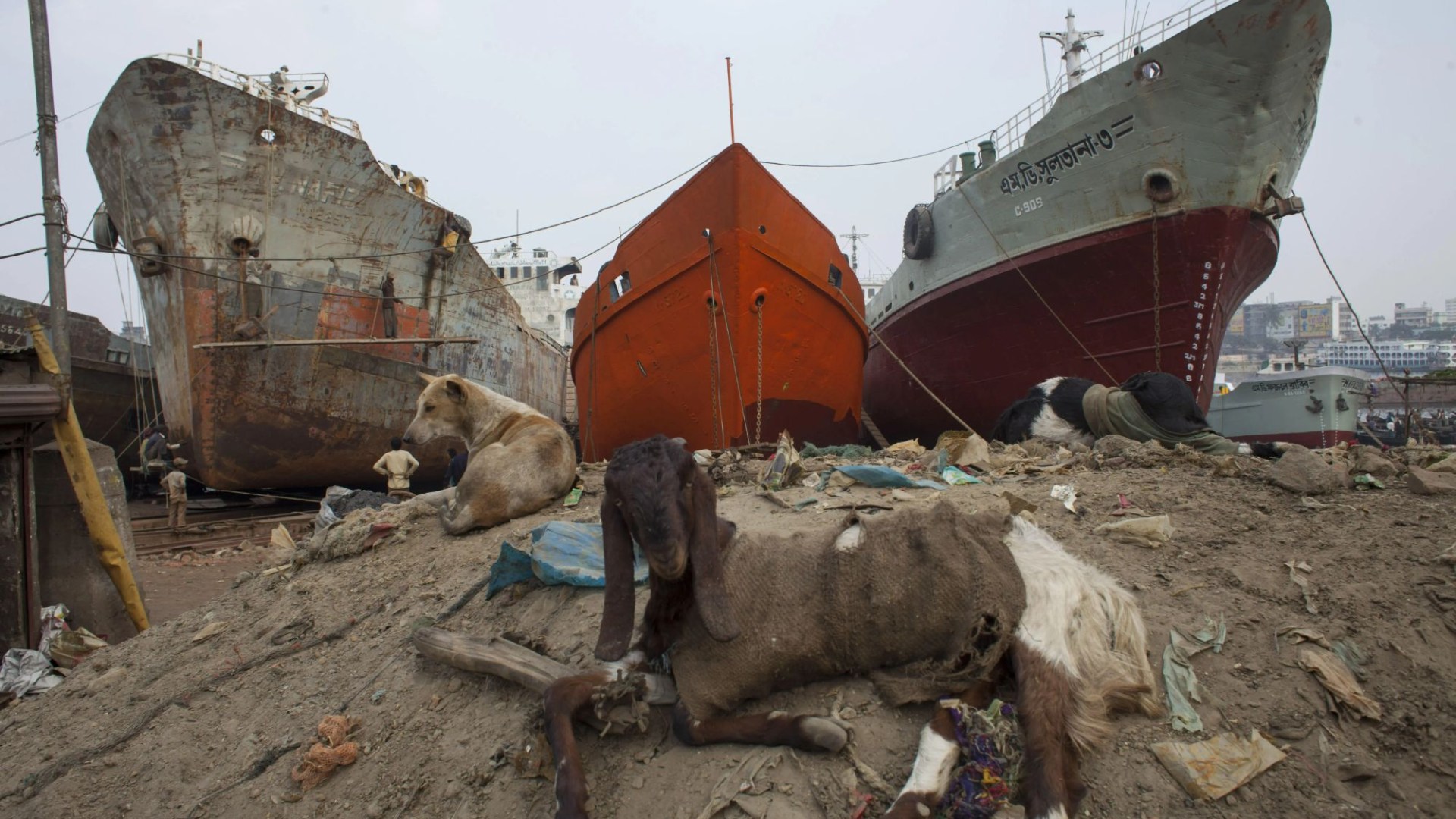 In the haunting graveyard of a ship, where ships rot in horrific conditions and children’slaves” break them by hand.