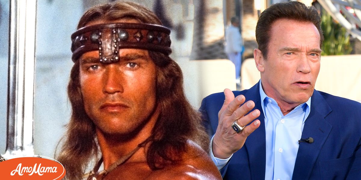 Arnold Schwarzenegger Mocked for Having ‘Too Much’ Gray on Eyebrows & Beard Which Don’t Match with His Hair