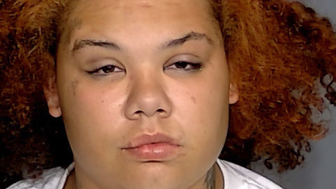 Indianapolis Woman Accidentally Stabbed Niece Instead of Dog: Police