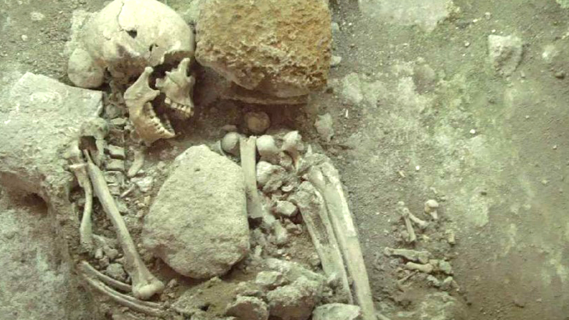 Shocking Revelation: Uncovering the True Identity of the 16th-century Skeleton Buried in Fetal Position under a Mexican Palace