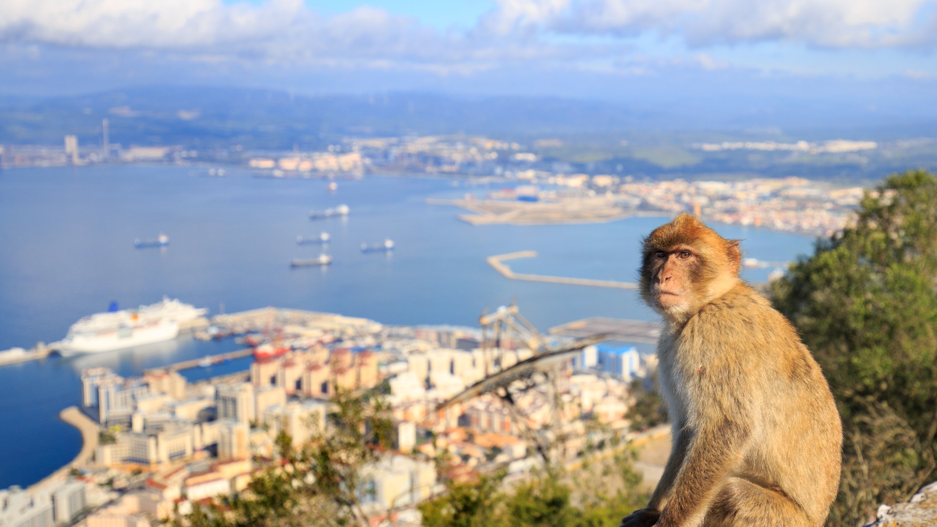 Discover the secret British holiday gem with internal waves and wild monkeys – a unique European paradise!