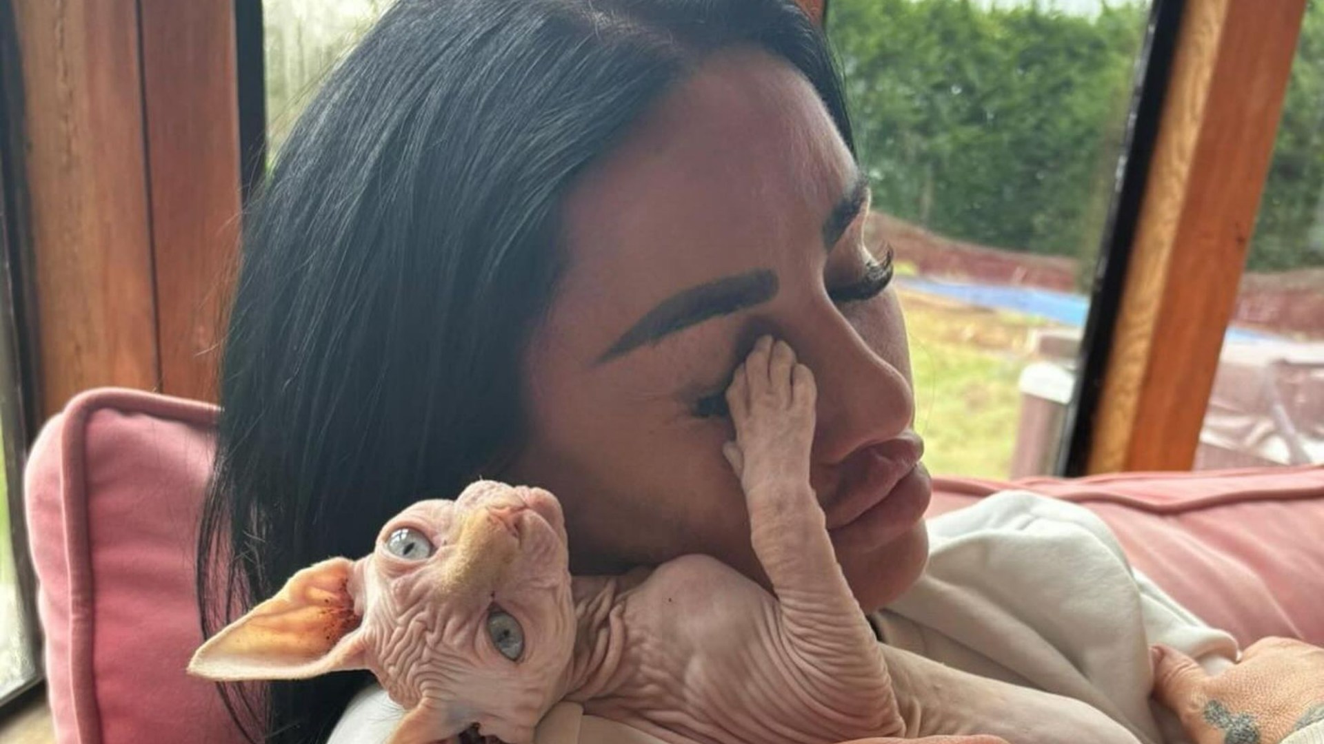Outrageous! Katie Price faces backlash over designer cat cuddles – Should she be banned from owning pets?