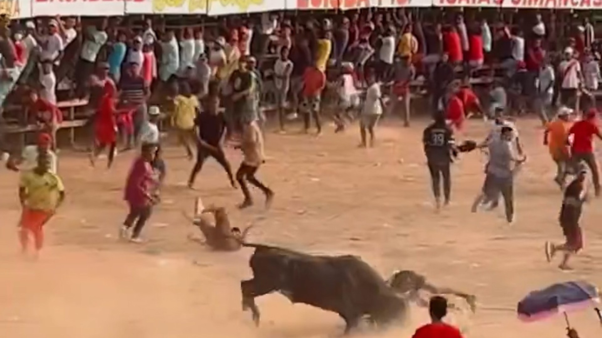 Bloodbath Horror: Two Dead and Eight Injured as Fans Are Gored by Raging Bull
