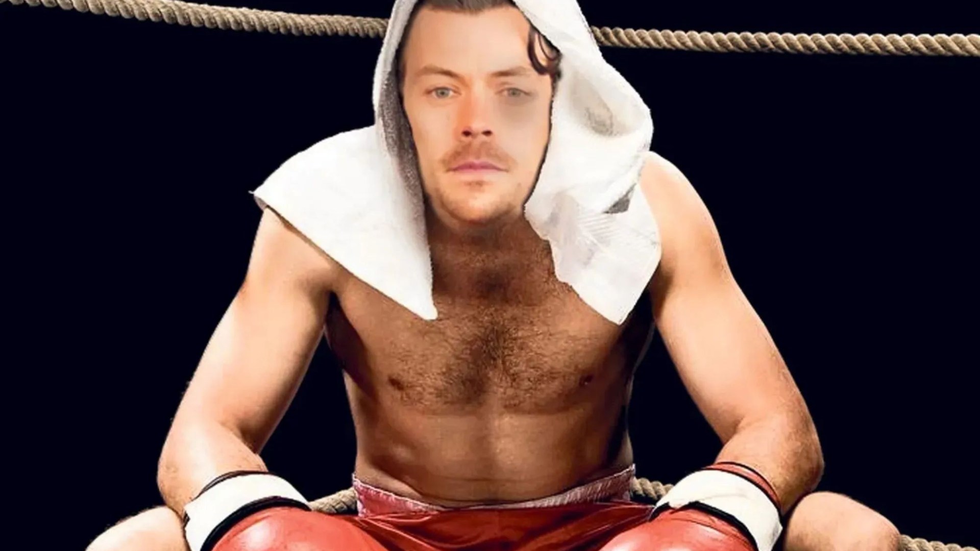 Harry Styles Transforms with Hardcore Boxing Training Inspired by Tyson Fury Post-Stalker Ordeal