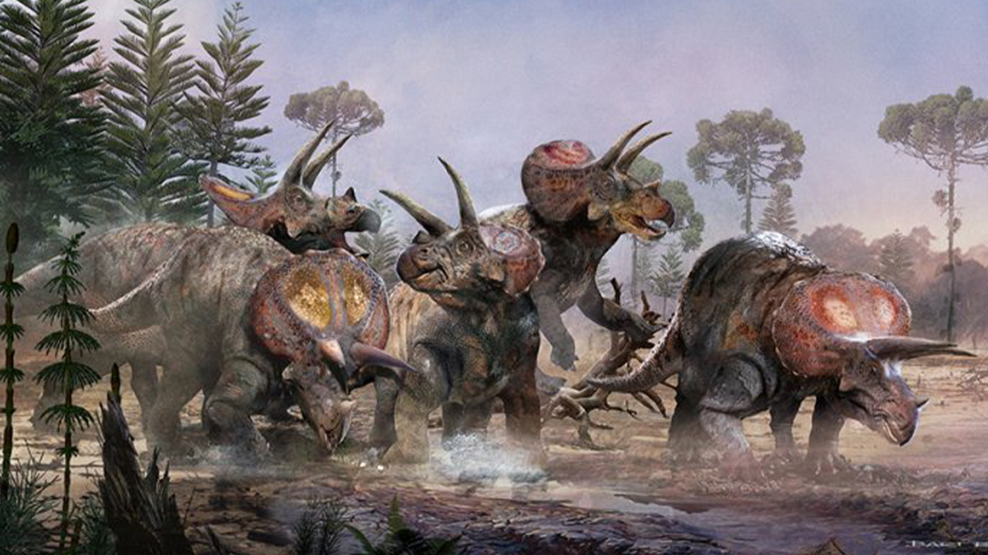 Shocking Discovery: Tragic Fate of Five Giant Triceratops Revealed in Mystery Grave