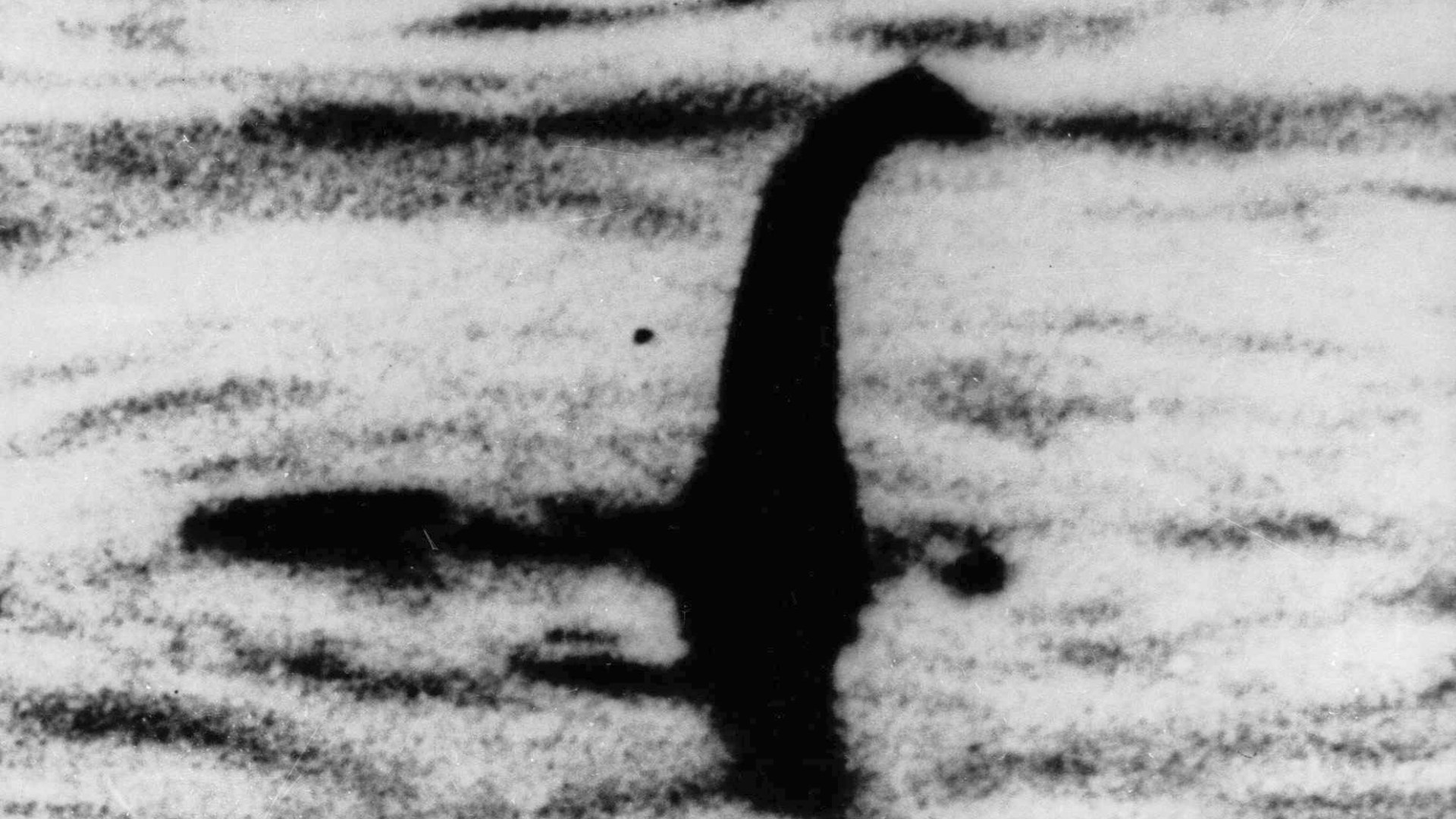 Shocking Revelation: Loch Ness Monster Exposed as Male in New Book Leaves Fans Baffled and Horrified