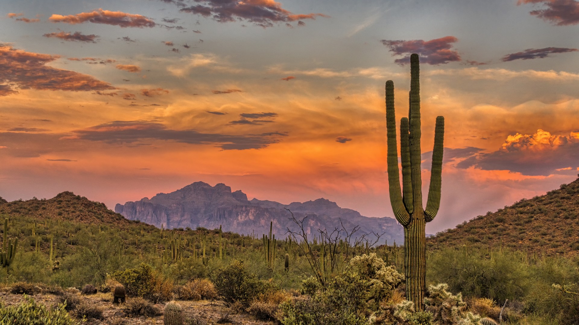 Experience the Ultimate Wild West Adventure at this Glamorous US Holiday Destination