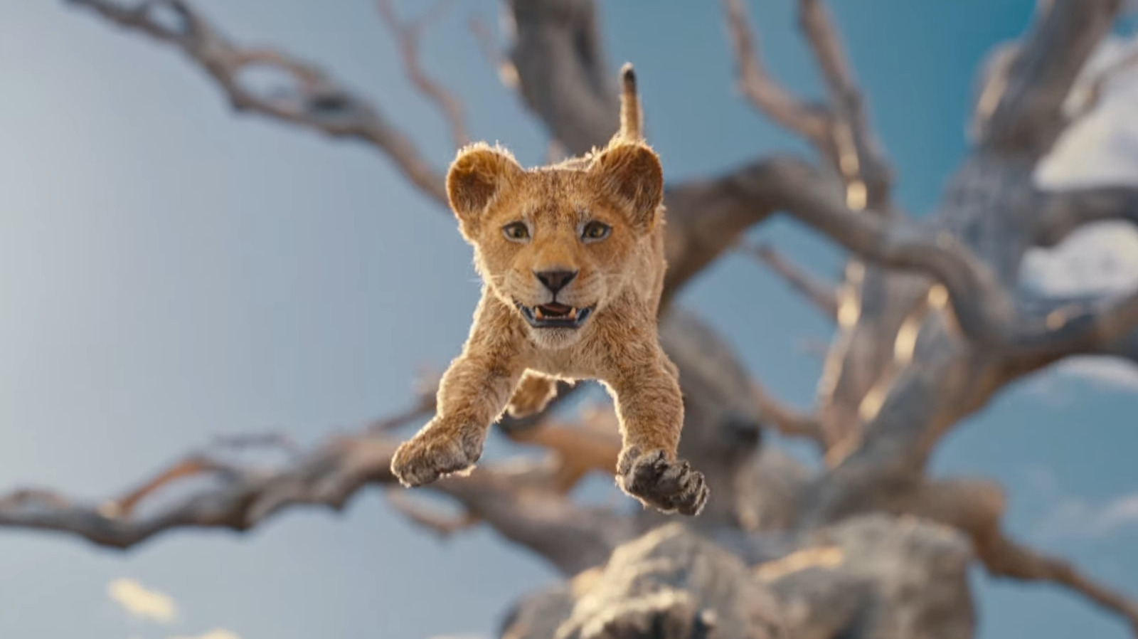 New Disney Trailer: Meet Mufasa – The Adorable Young Lion King Cub!