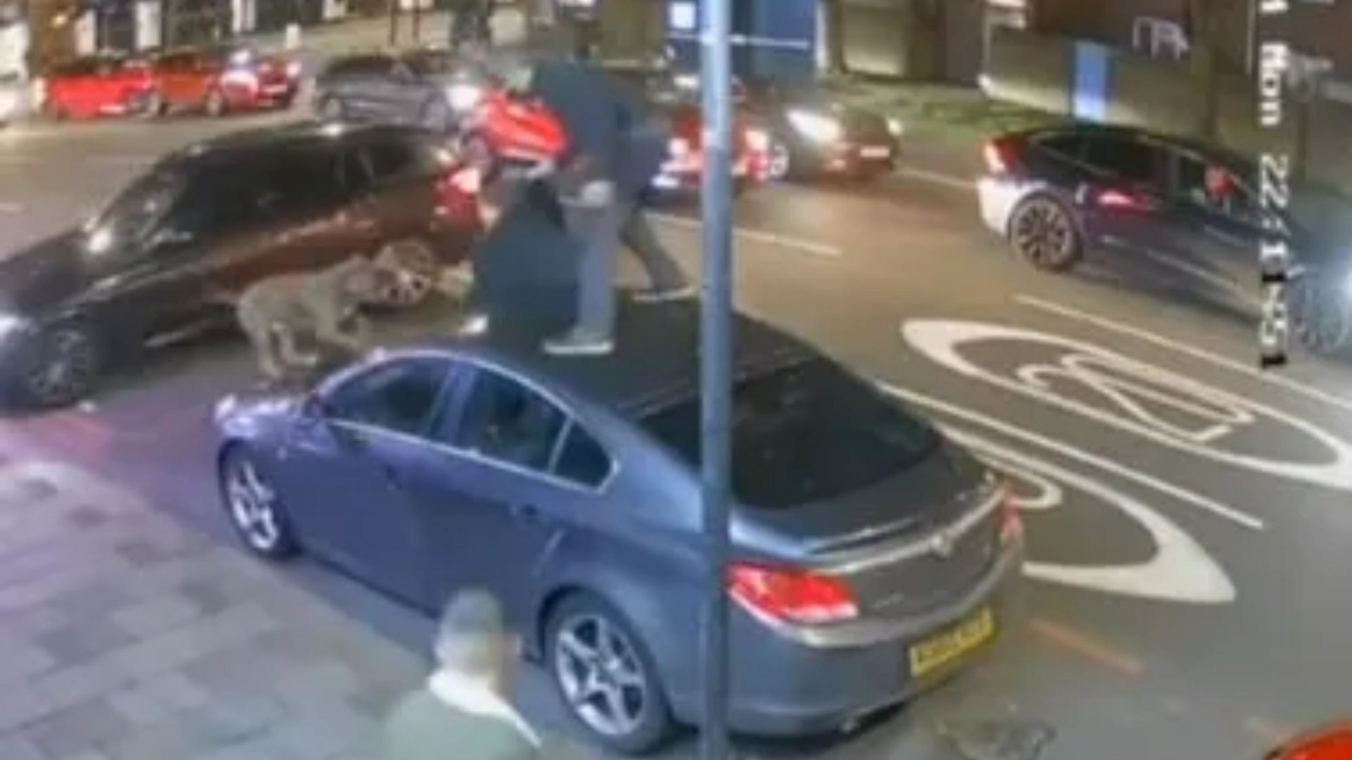 Terrifying XL Bully Attack in Battersea Leaves Four Injured: Watch as Man Clambers Onto Car in Horror Moment