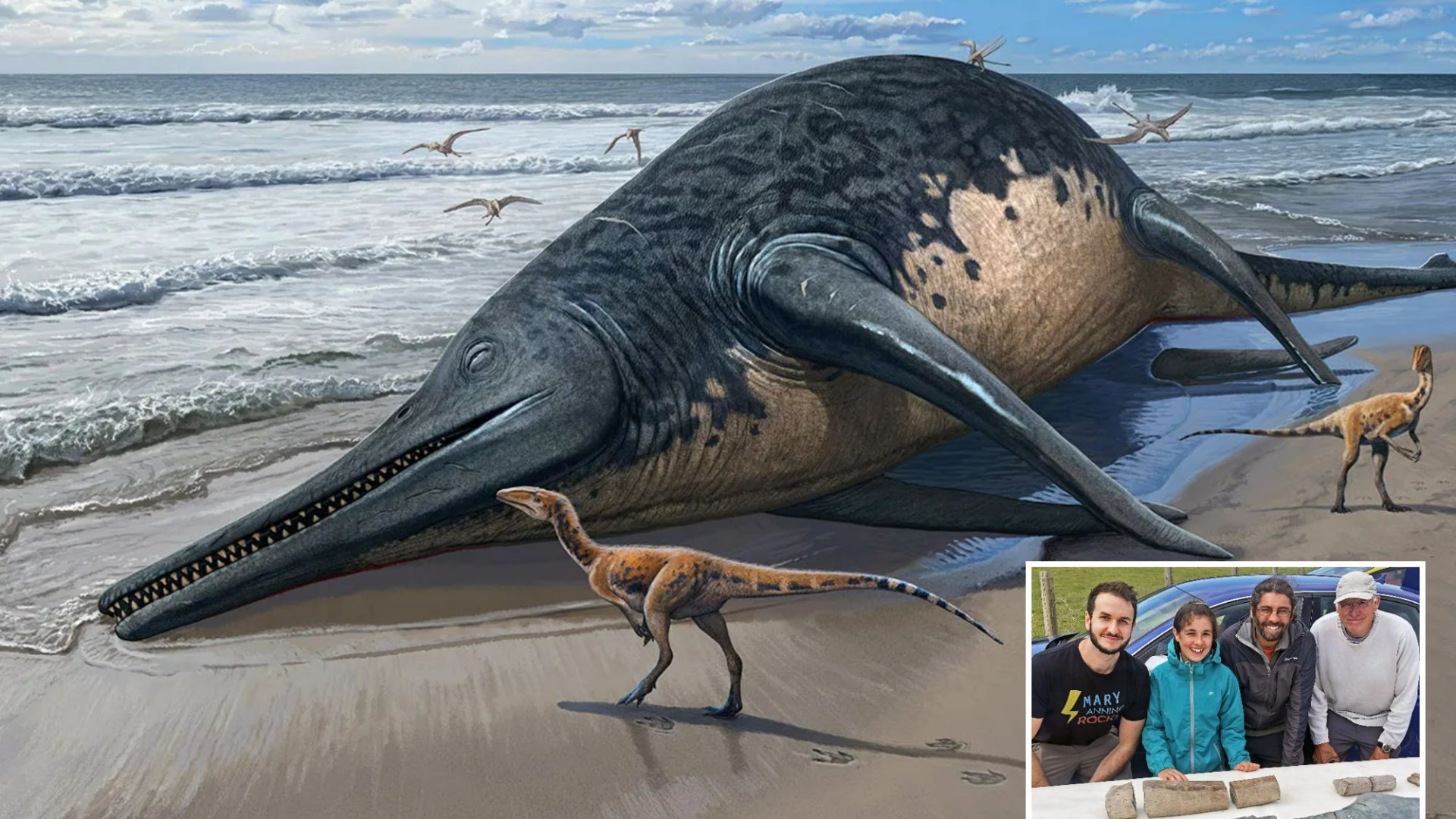 “Uncovering a Colossal Prehistoric Sea Beast Longer Than Two Buses: Young Brit Girl Finds Fossils on Somerset Beach” – Unveiling the secrets of prehistoric creatures through fossil discoveries.