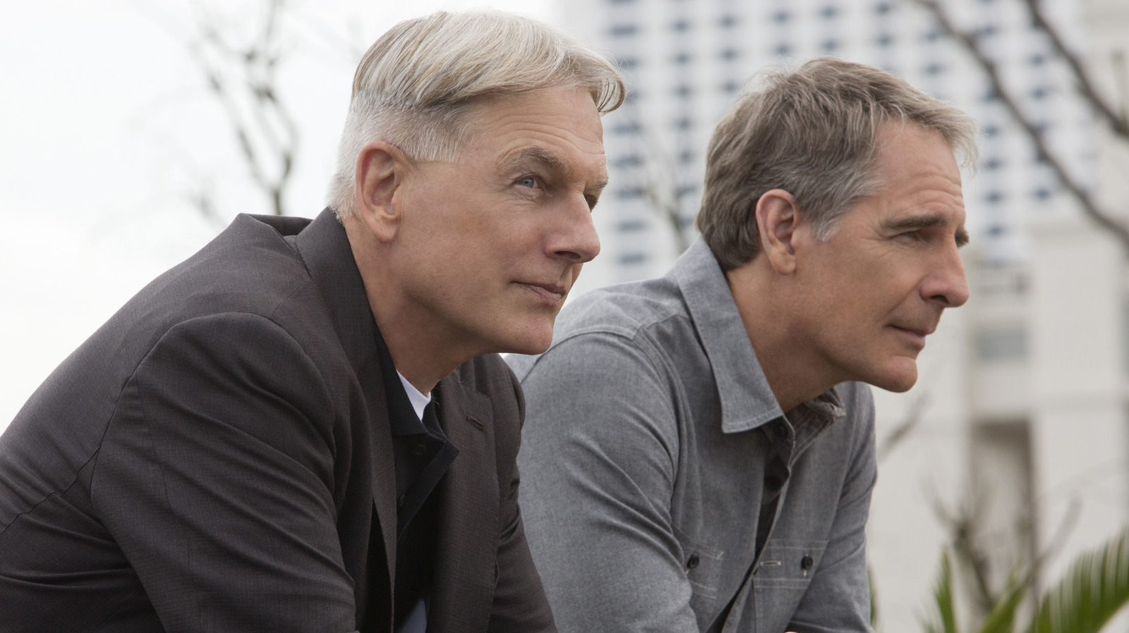 Why NCIS Producers are Considering Scott Bakula’s Return as Agent Dwayne Pride