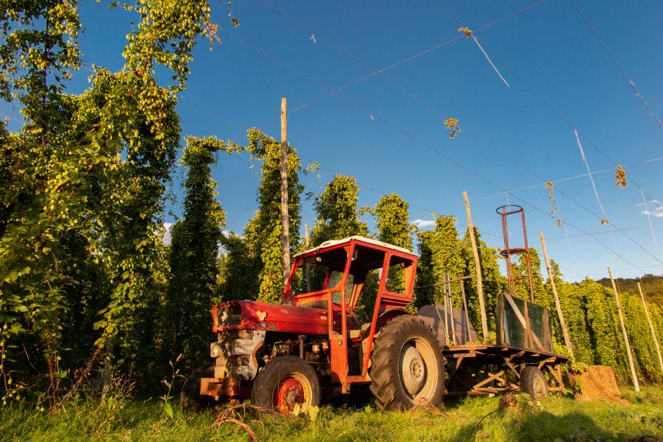 The nation is set for one of its worst ever harvests after being soaked by rain