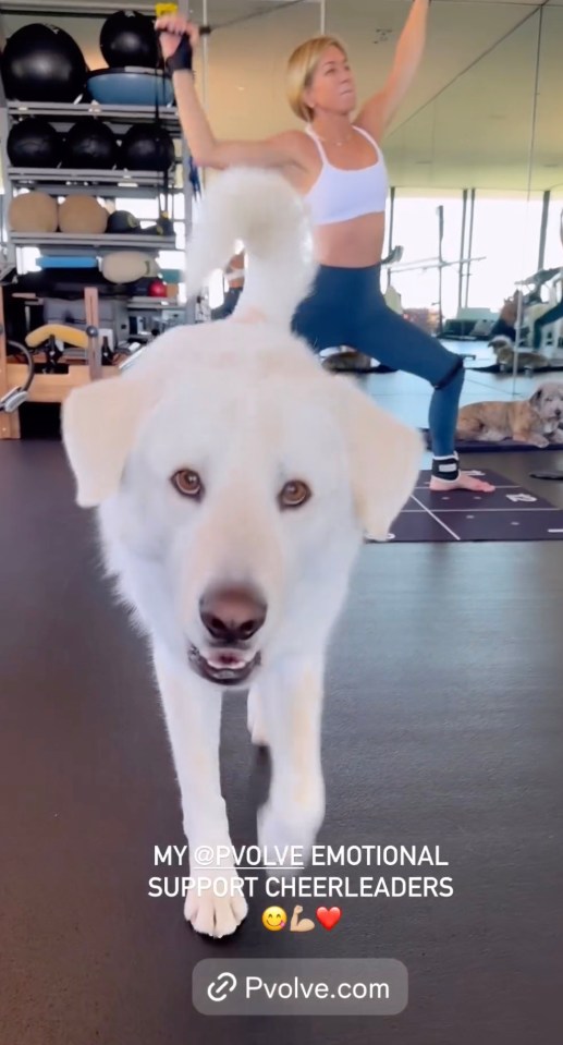 Jennifer lives in Los Angeles with her three rescue dogs