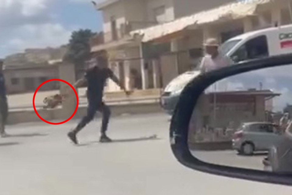 Raging motorists started fighting with chainsaws in the middle of a road