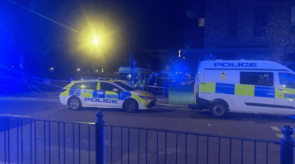 Met Police respond to the stabbing incident