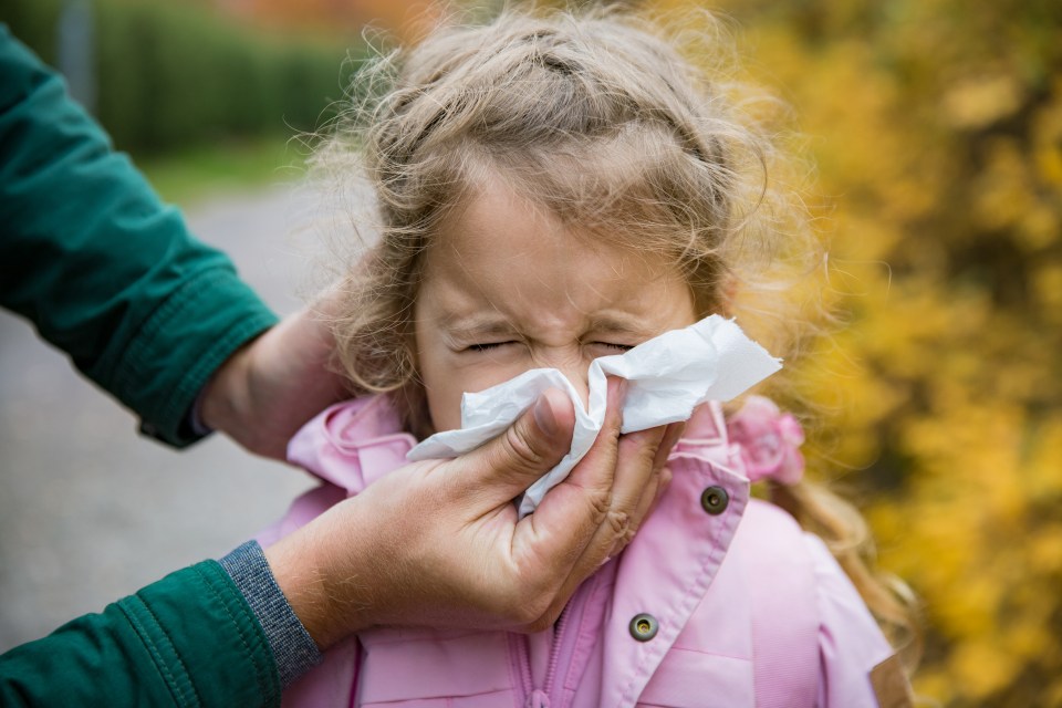 Flu season typically peaks around Christmas